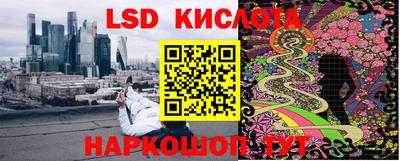 прущие грибы Вышний Волочёк