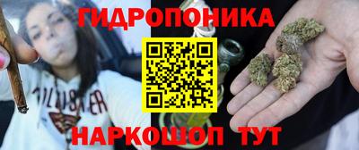 прущие грибы Вышний Волочёк