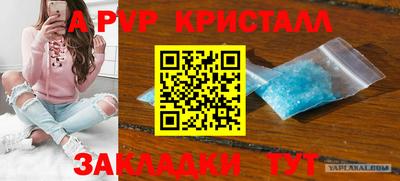 прущие грибы Вышний Волочёк