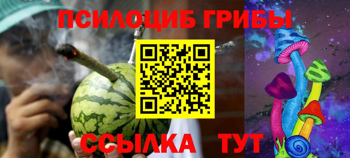 Галлюциногенные грибы прущие грибы Пенза