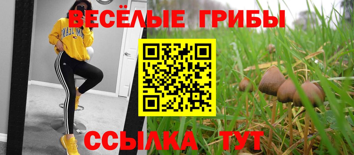 где купить наркоту  Вход с VPN  Пенза  Псилоцибиновые грибы Magic Shrooms  Галлюциногенные грибы мухоморы 
